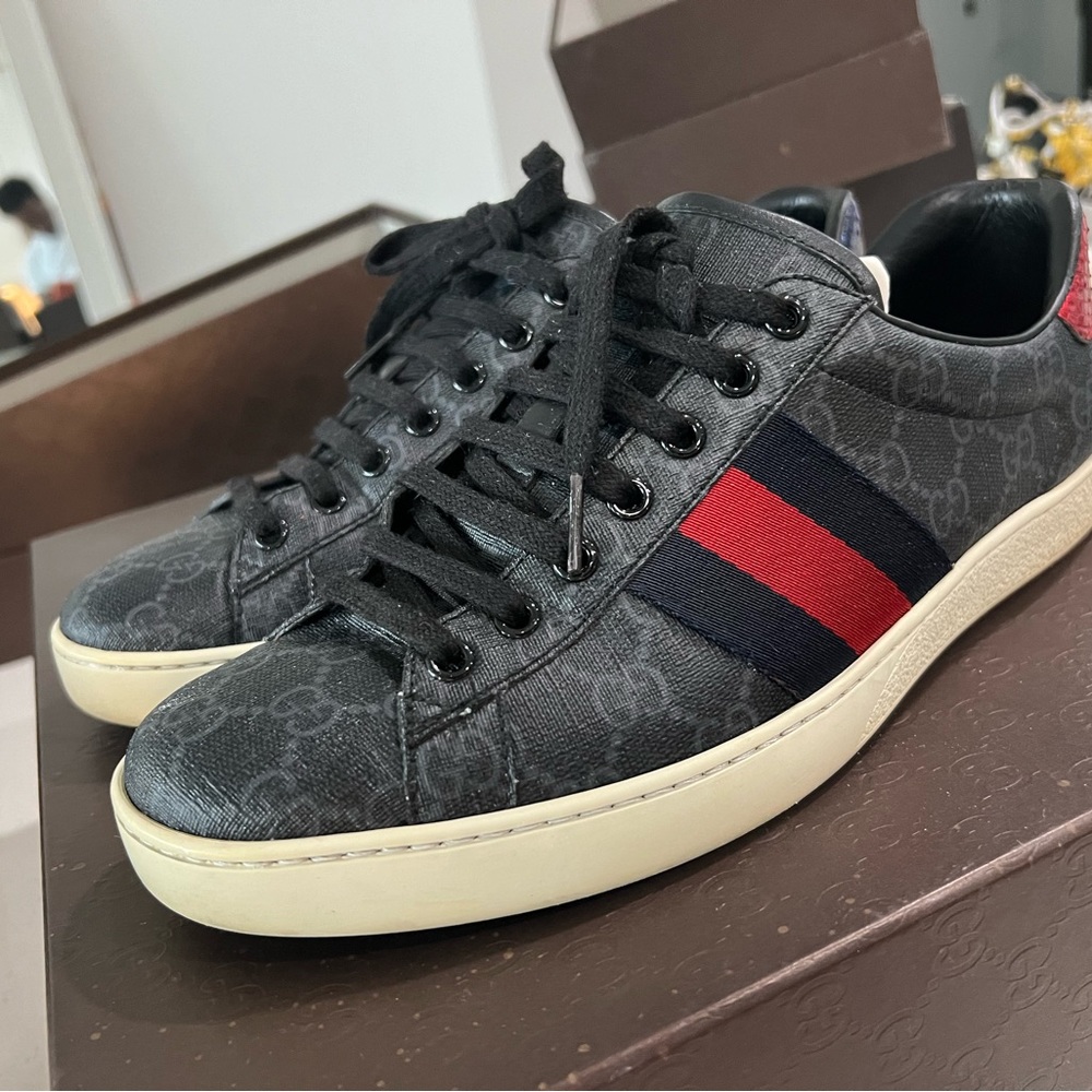 Gucci sneakers